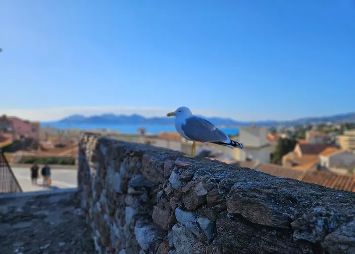 Sweet Azur - Host Provence * Le Cannet