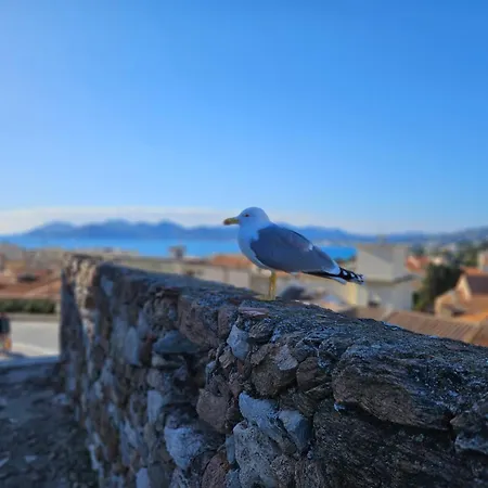 Sweet Azur - Host Provence * Le Cannet